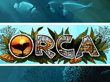 Аппарат Orca онлайн в казино