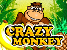 Crazy Monkey - играть на сайте онлайн казино