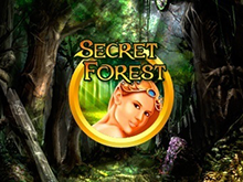 Secret Forest - играйте на деньги в онлайн казино